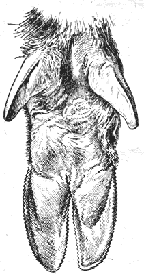   3- 